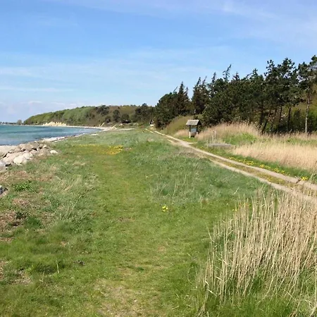 Sl292-rude-skovlobervej-2